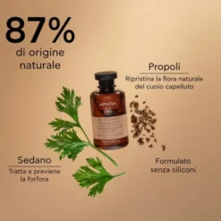 Apivita Dry Anti-Dandruff Shampoo 250ml