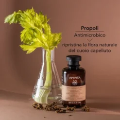 Apivita Dry Anti-Dandruff Shampoo 250ml