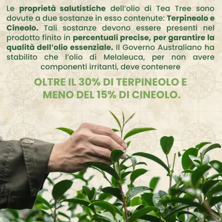 Australian Company Tea Tree Collutorio, 400 ml
