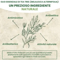 Australian Company Tea Tree Dentifricio, 100 ml