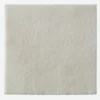 Biatain® Alginate Ag 15x15cm Coloplast® 10 Pezzi 3765