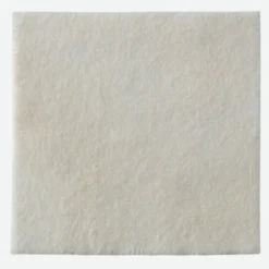 Biatain® Alginate Ag 15x15cm Coloplast® 10 Pezzi 3765