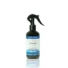 Brezza Marina Profumo Spray per Ambienti con Igienizzante Etereal 250ml