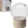 Bulle Diffusore di Oli Essenziali PRANARÕM