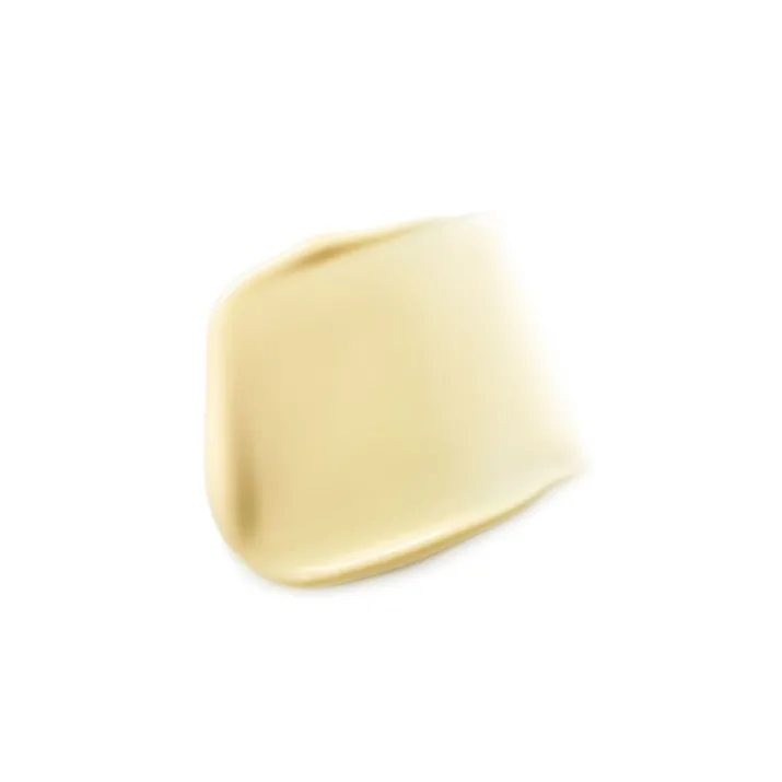 Dr. Hauschka Crema Rigenerante Viso Pelle Matura 40 ml