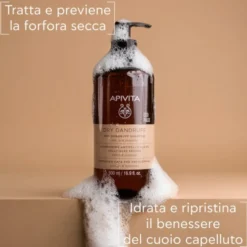 Dry Dandruff Apivita 500ml Ecopack