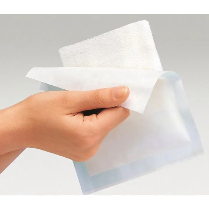 Gazin® Compresse Garza Sterili 10X10Cm L&R 10 Pezzi
