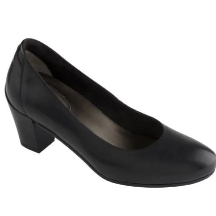 Larice Nero Tg.36 Scholl