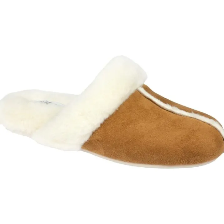Lovely Camel Tg.37 Scholl
