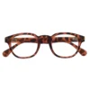Occhiali da Lettura Everest Turtle 1,0 Sanico