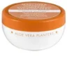 Planters Aloe Masch Volumiz