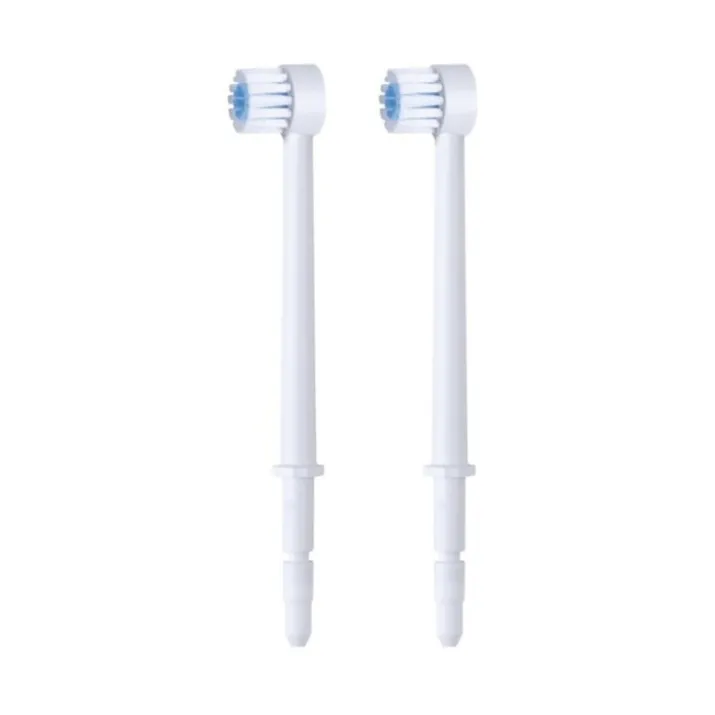 Ricambio Spazzole Per Irrigatore Wp100 - 450 Waterpik®