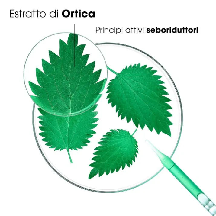 Shampoo All'Ortica Klorane 200ml