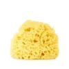 Spugna Di Mare Naturale 8cm Vitry 1 Pezzo