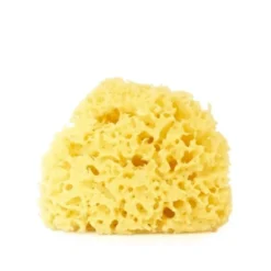 Spugna Di Mare Naturale 8cm Vitry 1 Pezzo
