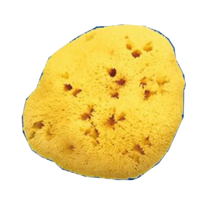 Spugna Nat Fori L 12/13cm 9