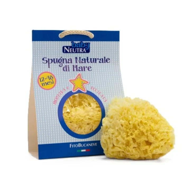 Spugna Naturale di Mare 12-48 M Baby Neutra