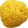 Spugnificoio Bellini Spugna Mare Arcipelago 20 Pezzi