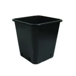 Wepa Vaso In Plastica Scura Quadrato 300ml 10 Pezzi